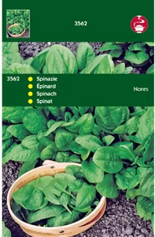 Spinazie Nores (Type Viking)