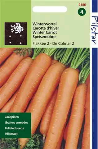 Pilstar Wortelen Winter Flakkees