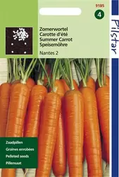 Pilstar Wortelen Verb. van Nante