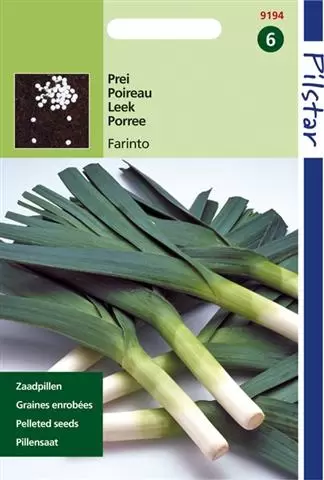 Pilstar Prei Blauwgroene Winter