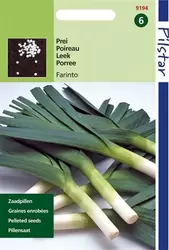 Pilstar Prei Blauwgroene Winter