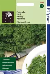 Pilstar Peterselie Donkergroene