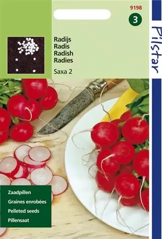 Pilstar Radijs Saxa