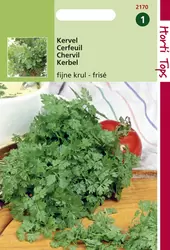 Kervel Fijne Krul