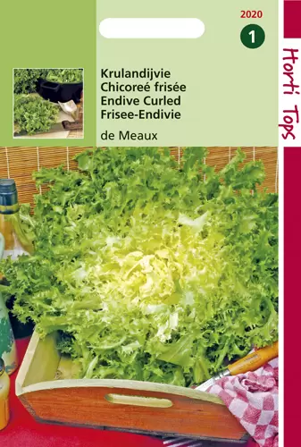 Krulandijvie De Meaux