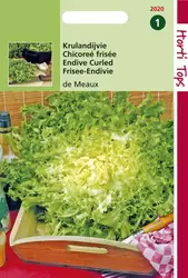Krulandijvie De Meaux