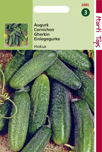 Augurken Hokus