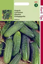 Augurken Hokus