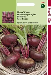 Bieten Egyptische Platronde