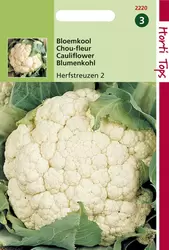 Bloemkool Herfstreuzen 2