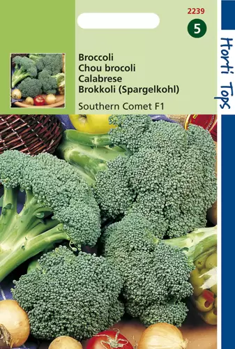 Broccoli Marathon(V/H Premium Cr