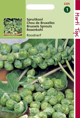 Spruitkool Roodnerf