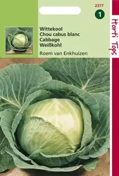 Wittekool Roem van Enkhuizen 2