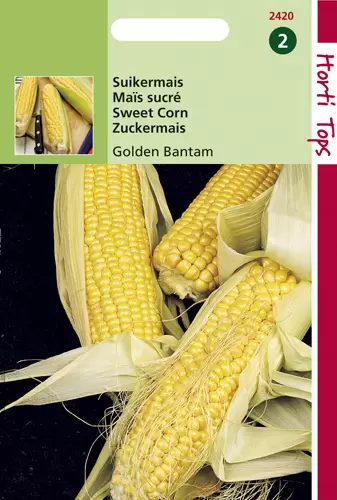 Suikermais Golden Bantam