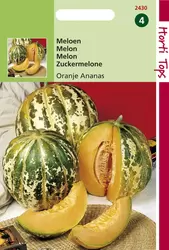 Meloenen Oranje Ananas