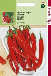 Peper Cayenne. Spaanse Lange Rod