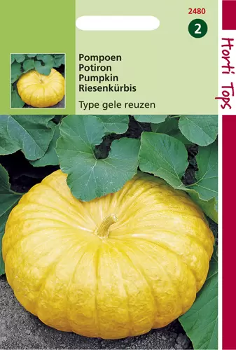 Pompoenen  Geelvlezige (Centenaa