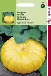 Pompoenen  Geelvlezige (Centenaa