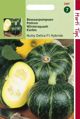 Pompoenen Nutty Delica F1 Hybrid