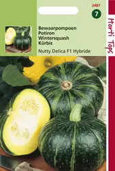 Pompoenen Nutty Delica F1 Hybrid