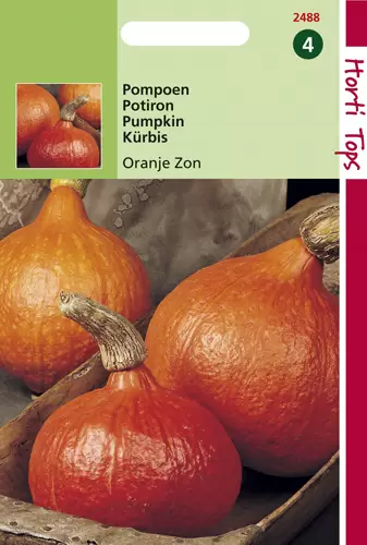 Pompoenen Oranje Zon