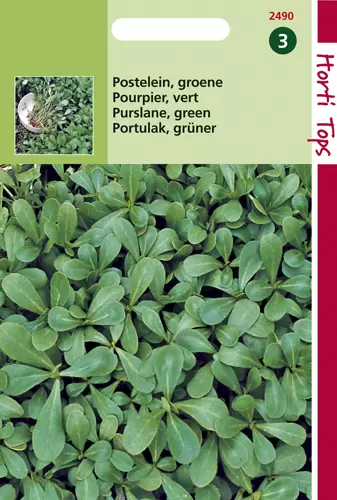 Postelein Groene