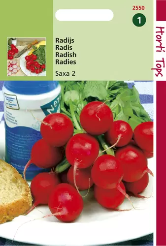 Radijs Saxa - 2