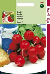 Radijs Saxa - 2