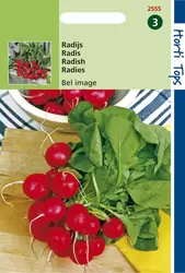 Radijs Bel Image. Ronde Rode Kor