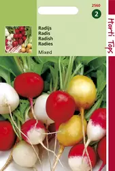 Radijs Ronde Gemengd