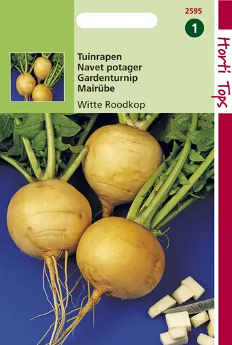 Rapen Goldana (Goudbal Kortlof)
