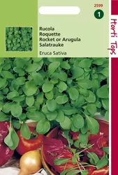 Rucola Coltivata (Eruca (Vesicar