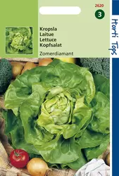 Kropsla Neckarreuzen Sel. Zomerd