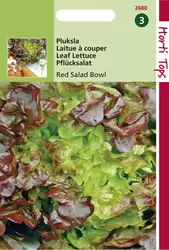 Red Salad Bowl - Rode Eikenblads