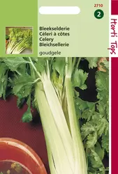 Bleekselderie Goudgele Zelfbleke