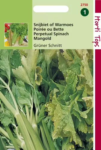 Snijbiet Groene Gewone
