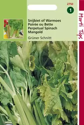 Snijbiet Groene Gewone