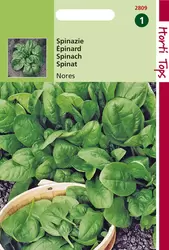 Spinazie Nores  15 gram