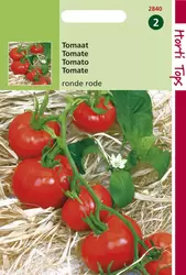 Tomaten St. Pierre grote vollegr