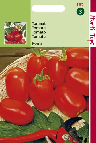 Tomaten Roma Vf