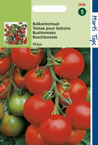 Tomaten Maja -Balkontomaat Amate