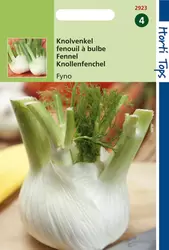 Venkel (Zefa) Fino