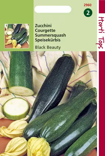 Courgette Black Beauty - Verte D