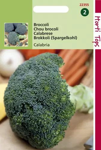 Broccoli Calabria