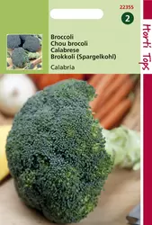Broccoli Calabria