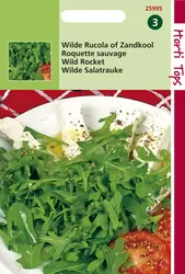 Rucola Wilde Selvatica (Diplotax