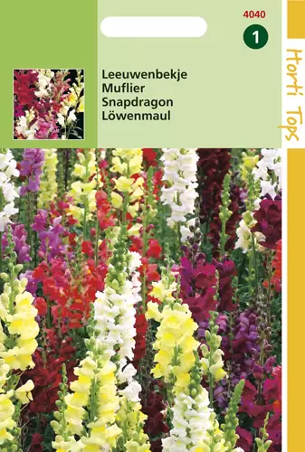 Antirrhinum Majus Maximum Gemengd