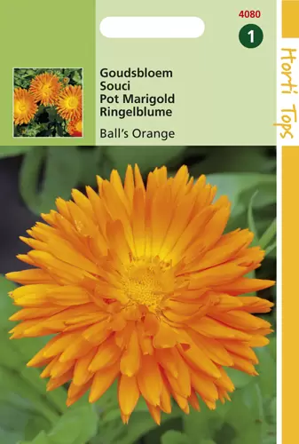 Calendula officinalis Dubbelbl. Ball's Orange