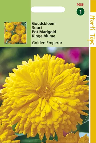 Calendula Officinalis Golden Emperor