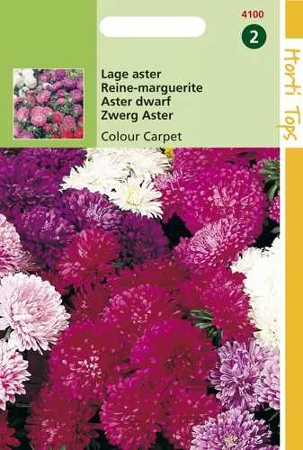 Callistephus Chinensis Colour Carpet mix Aster